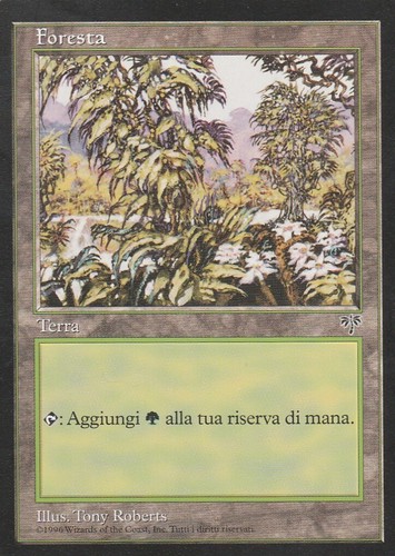 Magic adunanza mirage - -,