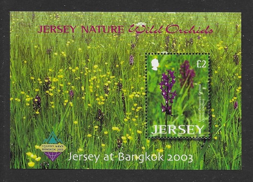 Jersey 2003 bangkok stamp - 2003,
