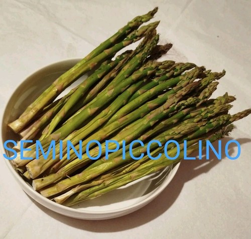 100 semi asparago verde - semi,