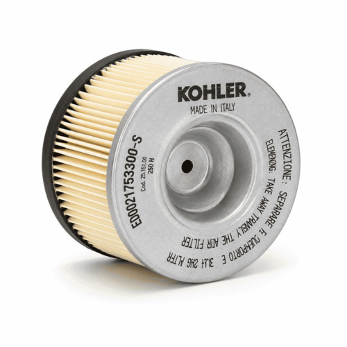 Ed0021753300 filtro aria - ed0021753300-s,