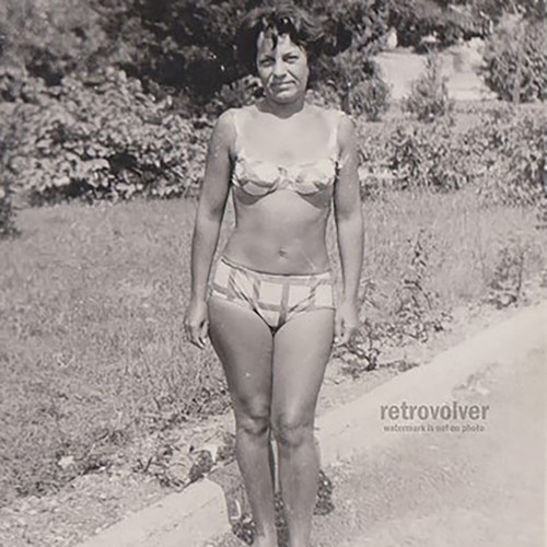 Bella attraente donna curvy - , in