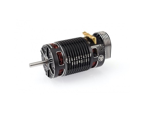 Ruddog rp691 2000kv 8 - rp691, 1/8