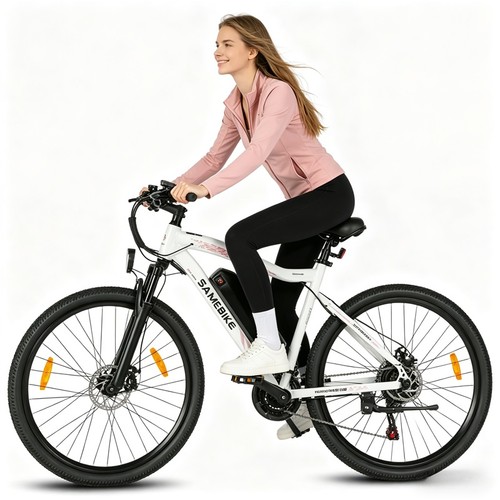 Bici elettrica 13ah - 26",
