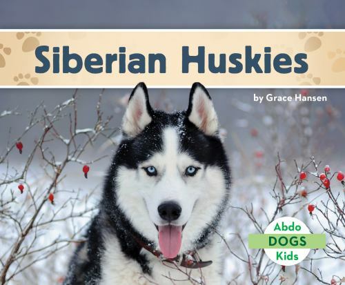 Siberian huskies - set, 3)