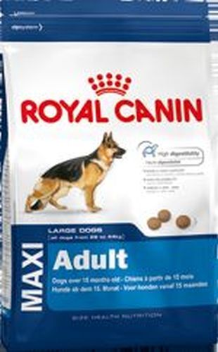 Royal cane adulto taglia - cane,