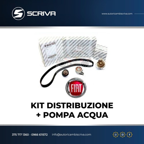 Kit distribuzione pompa - distribuzione,