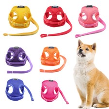 UK Piccola Imbracatura per