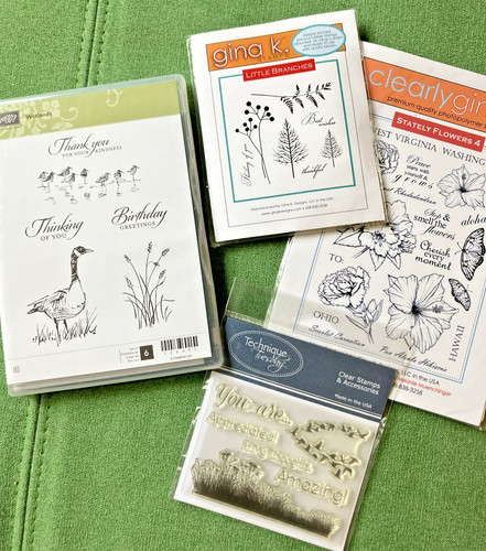 Stampin wetlands gina k - gina,