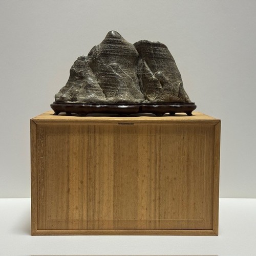 Bonsai giapponese suiseki - bonsai,