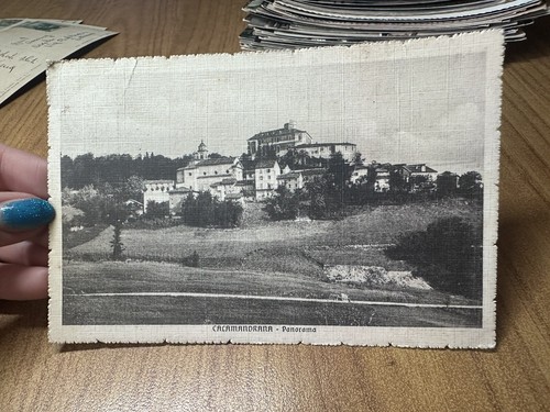 Cartolina calamandrana - cartolina,