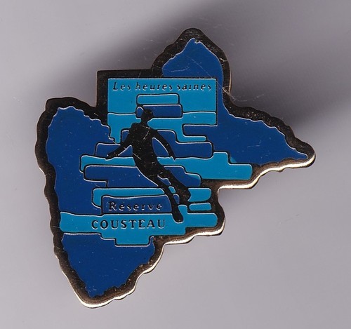 Rare pins pin ong parc - pin's,