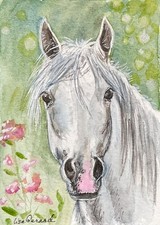 Acquerello originale ACEO -