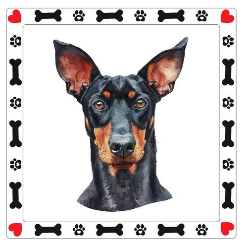 Adesivo tedesco pinscher - tedesco, cane