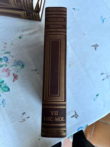 Dizionario enciclopedico - dizionario,