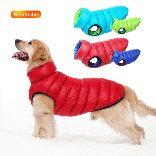 Piumino cane inverno - cane,