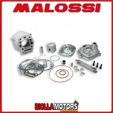 3113564 CILINDRO MALOSSI 77CC