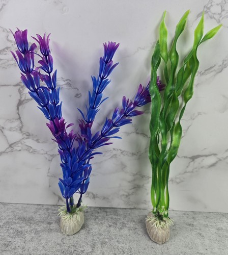 Set pesci viola - set,