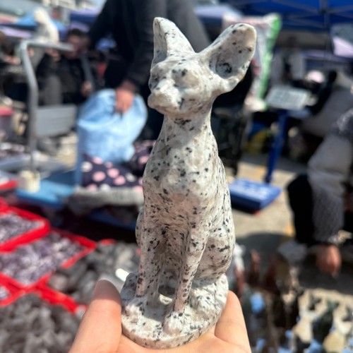 Gatto senza pelo - intagliato, 6"