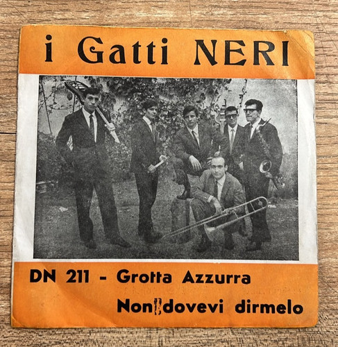 Gatti neri grotta - gatti,
