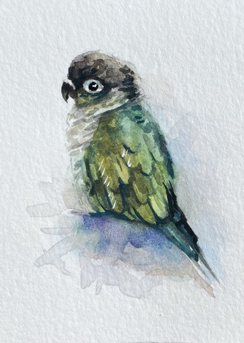 Aceo 100 dipinto mano - 100%,