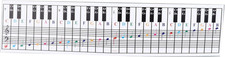61/88 Tasti Scheda Tastiera