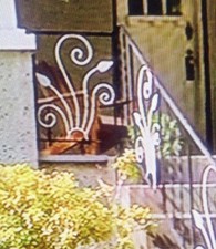 pannello per ringhiere in