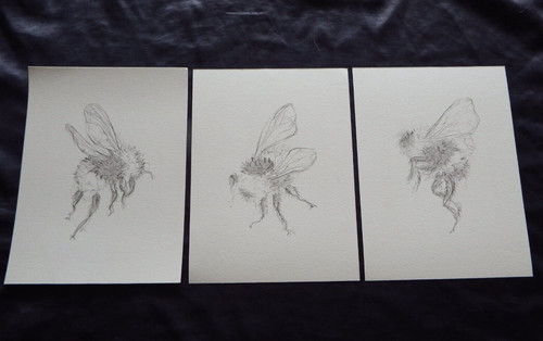 Piccoli disegni matita - disegni, a