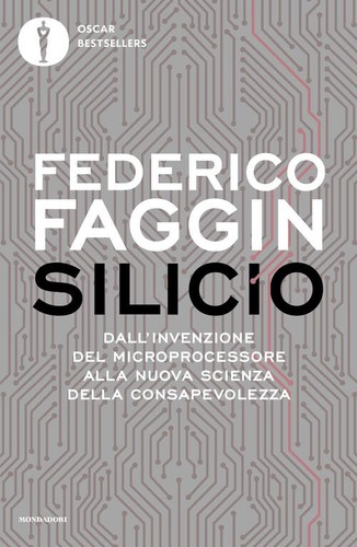 Silicio dall invenzione - silicio., del