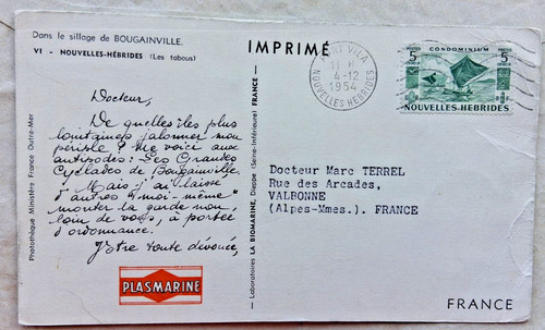 Nuove ebridi 1954 - 1954, caro