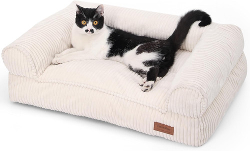 Cuccia cane gatto - cane,
