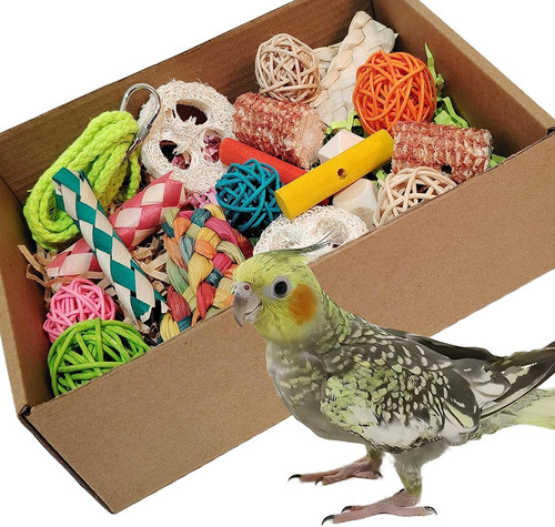 Bird toys scatola - bird, toys,scatola