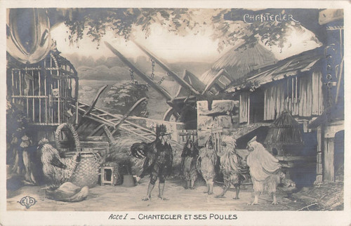 Chantecler acte coq - chantecler,