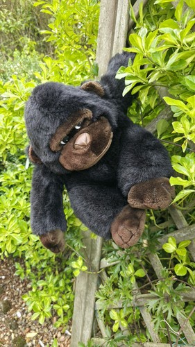 Cravatta fiocco gorilla - , occhi