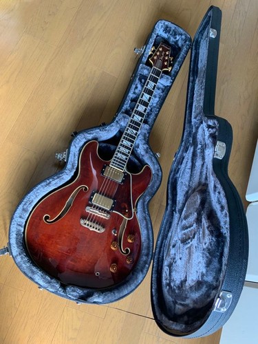 Chitarra elettrica
