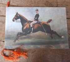 Calendar. Military Riding