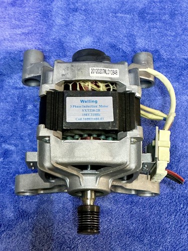Motore welling yxt220 - motore, yxt220-2b