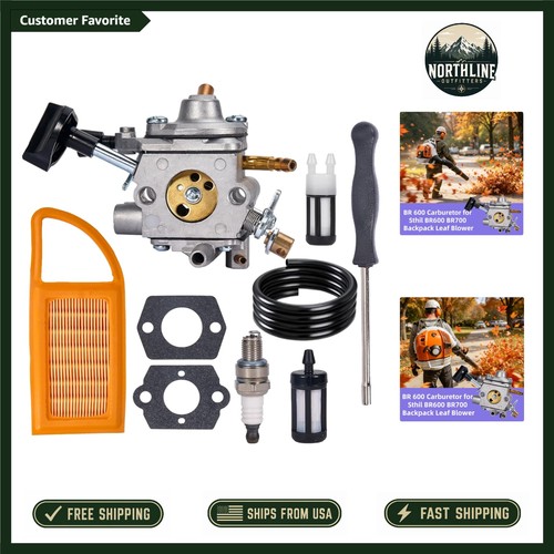 Carburatore efficiente br600 - carburatore,