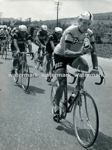 Foto originale felice gimondi - foto,