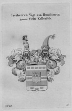 1820- Vogt Hunoltstein Pietra- Kallenfels Stemma Nobiltà Stampa In Rame