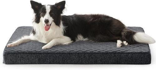 Cuccia cane interno taglia - cuccia,