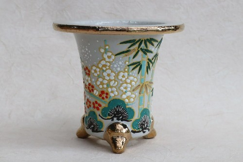 Omoto neofinetia fuki - omoto,