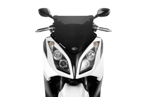 Cupolino malossi sport - [malossi],