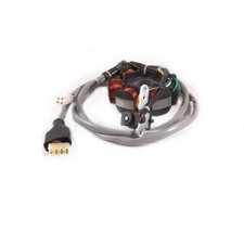 RO 294971 STATORE VOLANO