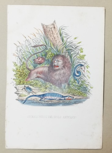 01851 stampa cromolito - stampa,