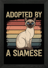 Adottato da un gatto siamese