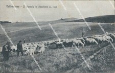 bf337 cartolina vallombrosa il