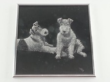 Vintage con cornice filo Fox