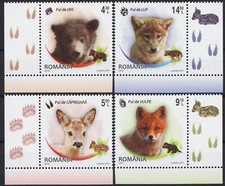 Romania 2012 Wild Cuccioli