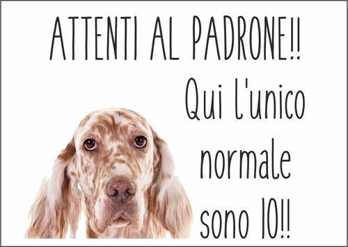 Cartello segnaletico setter - cartello,