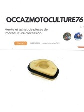 Ammissione Motosega ECHO CS